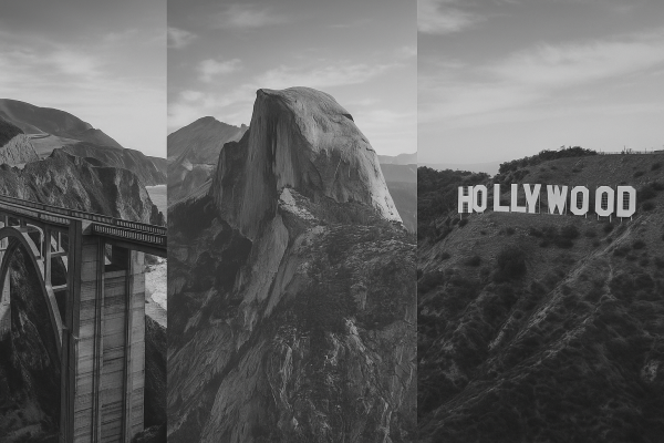 SCR LAW - landmark 2